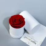 Decorative Flowers Valentines Day Gift Immortal Infinity Eternal Forever Stabilized Preserved Roses Box - Image 3