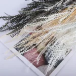 PPL24 Fern Small Eternal Imported Mutton Tooth by Handmade for Home Decor Event & Party Supplies and Beauty Appreciation - Image 3