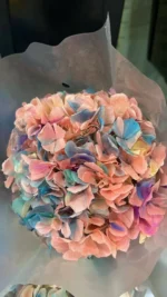 PHA03 Large Leaf Hydrangea 13 Color Naturally Preserved Hydrangea Large Leaf Series for Decorative Flower Arrangement - Image 5