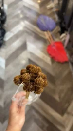 DFS54 Splicing Pinecone Flower Wholesale Natural Dried Flowers with Original Colors for Home Decoration and Flower Arrangement - Image 6