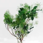 PPL63 Smoke Tree Decorative Dreamy Preserved Plants Flowers& Wreaths Smoke Bush for Wedding Flowers Bouquet - Image 6