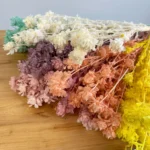 PPL07 Carthamus Tinctorius Factory Supply Everlasting Flowers Orange Pineapple for Flower Arrangements - Image 2