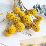 DFF55 Splicing Liquidambar Formosana Hance Seeds Dried Mckinley Flower Natural Maple Fruit Colorful Nature Sweetgum Flowers - Image 6