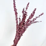 PPL62 Silver-leaved Mountain Gum(No Branches) Hot Selling Preserved Real Eucalyptus Leaves for Home Wedding Decoration - Image 6