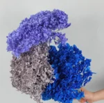 PHA01 Anna Hydrangea 15 Color Natural Plant Dried Flower Preservation Hydrangea Gradient Color Mixed Color Series - Image 5
