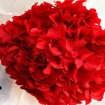 PHA03 Large Leaf Hydrangea 13 Color Naturally Preserved Hydrangea Large Leaf Series for Decorative Flower Arrangement - Image 3