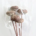 DFS53 Splicing Mushroom Dried Natural Solid Mushroom Flowers.fungus Handicrafts for Home Decor - Image 5