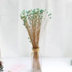 PPF04 Brazilian Happy Flower Wholesale Customizable Home Decor Mini Daisy Happy Flower Dried Flowers - Image 2