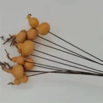 DFS51 Splicing Gourd High Quality INS Popular Natural Dried Flowers Calabash Gourd & Lagenaria Siceraria for Home Decor - Image 4