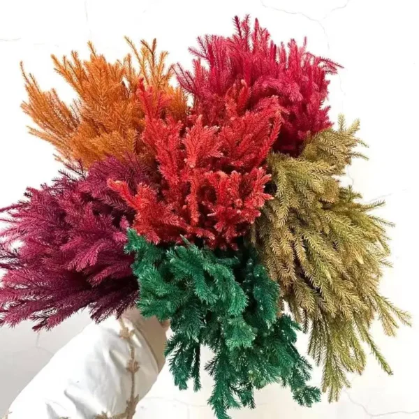 PPL13 Club Moss Decoration Flower Landscape Material Pine Tree Grass Dried Diaphasiastrum Veitchii Leaves Dried Club Moss