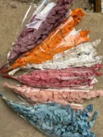 PPL61 Silver-leaved Mountain Gum Hot Selling Preserved Real Eucalyptus Leaves for Home Wedding Decoration - Image 6