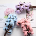 PPF06 Cotton Dried  Preserved Eternal  Flowers & Plants Truly Natural Flowers Wedding Home Decoration Flower Arrangement - Image 3