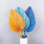 PPL40 Livistona Chinensis Pure Natural Various Forms of Air-dried Top Palm Leaves and Fan Leaves Decorative Flower Arrangements - Image 3