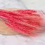 PPS02 Natural Preserved Dry Wheat Vase for Home Decoration Hot Factory Arrangement for Christmas Valentine's Day Graduation - Image 6