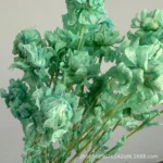 PPL07 Carthamus Tinctorius Factory Supply Everlasting Flowers Orange Pineapple for Flower Arrangements - Image 3