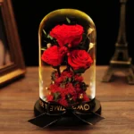 Wholesale Royal Blue Preserved Rose Flower in Glass Dome with Light Wooden Base for Bedroom Christmas Decor - Image 5