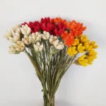 DFS57 Handmade Natural Pistachio Nuts 2024 Hot Selling Everlasting Happy Fruit Dried Flowers for Valentine's Day - Image 5