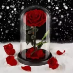 Beauty and the Beast Rose Personalized Customized Forever Roses Real Preserved Eternity Rose in Glass Dome
