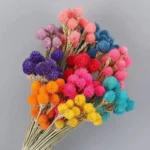 DFS60 Splicing Strawberry Fruit for Valentine's Day Graduation Christmas Thanksgiving Occasions - Image 2