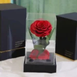 Top Seller Decoration Flower Real Touch  Long Life Eternal Preserved Roses in Acrylic  Box for Valentine Gifts - Image 2