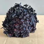 PHB01 Boxed Anna Hydrangea 16 Color Mixed Color Gradient Color Naturally Preserved Hydrangea Flowers for Handmade Production - Image 2