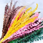 PPL62 Silver-leaved Mountain Gum(No Branches) Hot Selling Preserved Real Eucalyptus Leaves for Home Wedding Decoration - Image 2