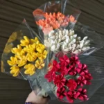 DFS57 Handmade Natural Pistachio Nuts 2024 Hot Selling Everlasting Happy Fruit Dried Flowers for Valentine's Day