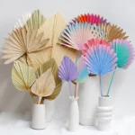 PPL40 Livistona Chinensis Pure Natural Various Forms of Air-dried Top Palm Leaves and Fan Leaves Decorative Flower Arrangements