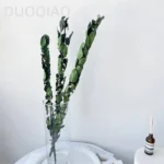 PPL58 Rose Leaves Wholesale Rose Leaves Rose Branches Flower Arrangement Auxiliary Materials Natural and Long Term Preserved - Image 4