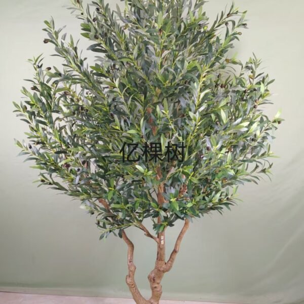 olive tree