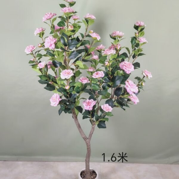 camellia