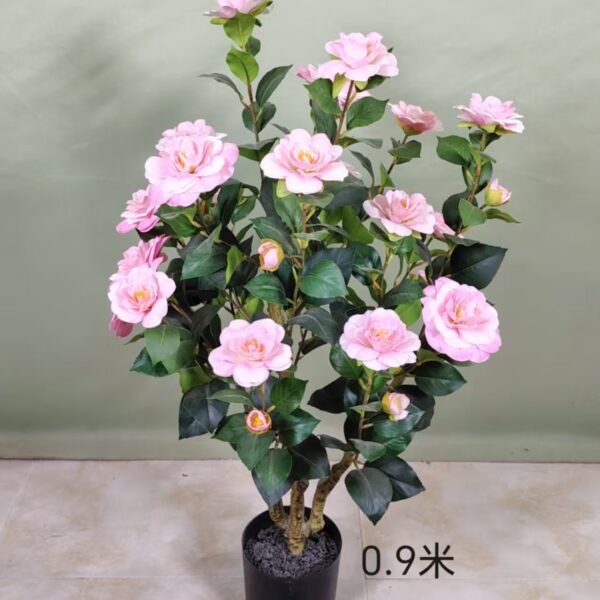 camellia