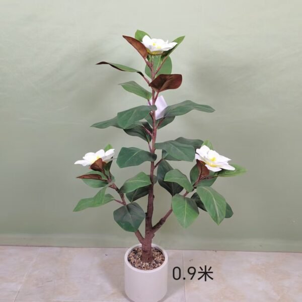 yulan magnolia