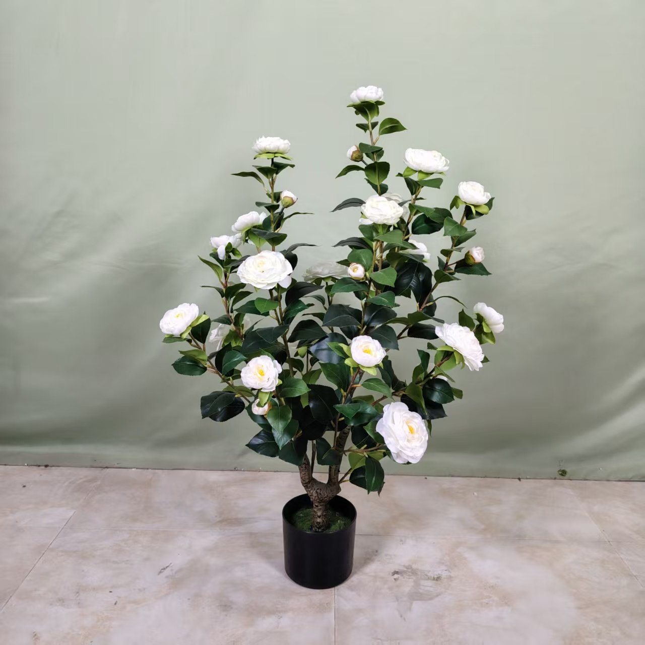 80911e9542127a37dbd413c6a549d786 camellia - Image 1
