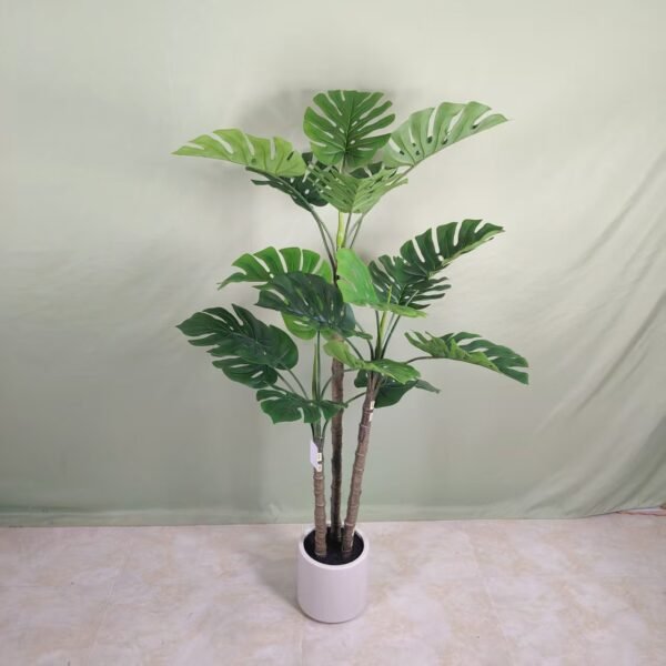 monstera