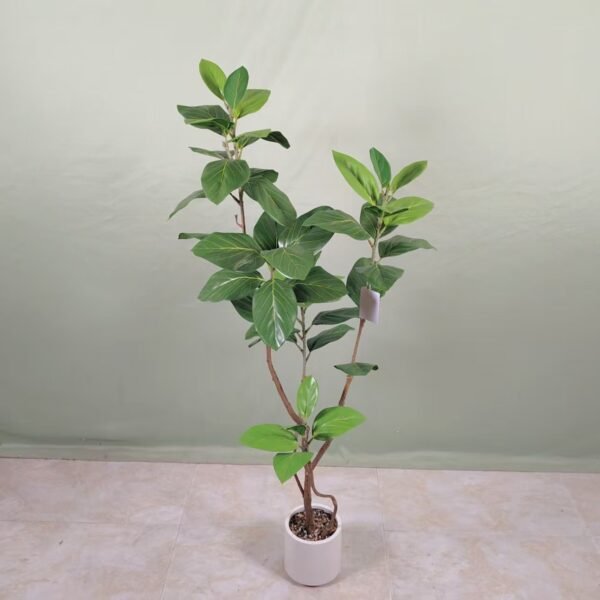 mountain fig