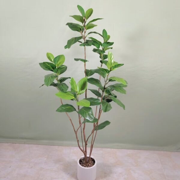 mountain fig