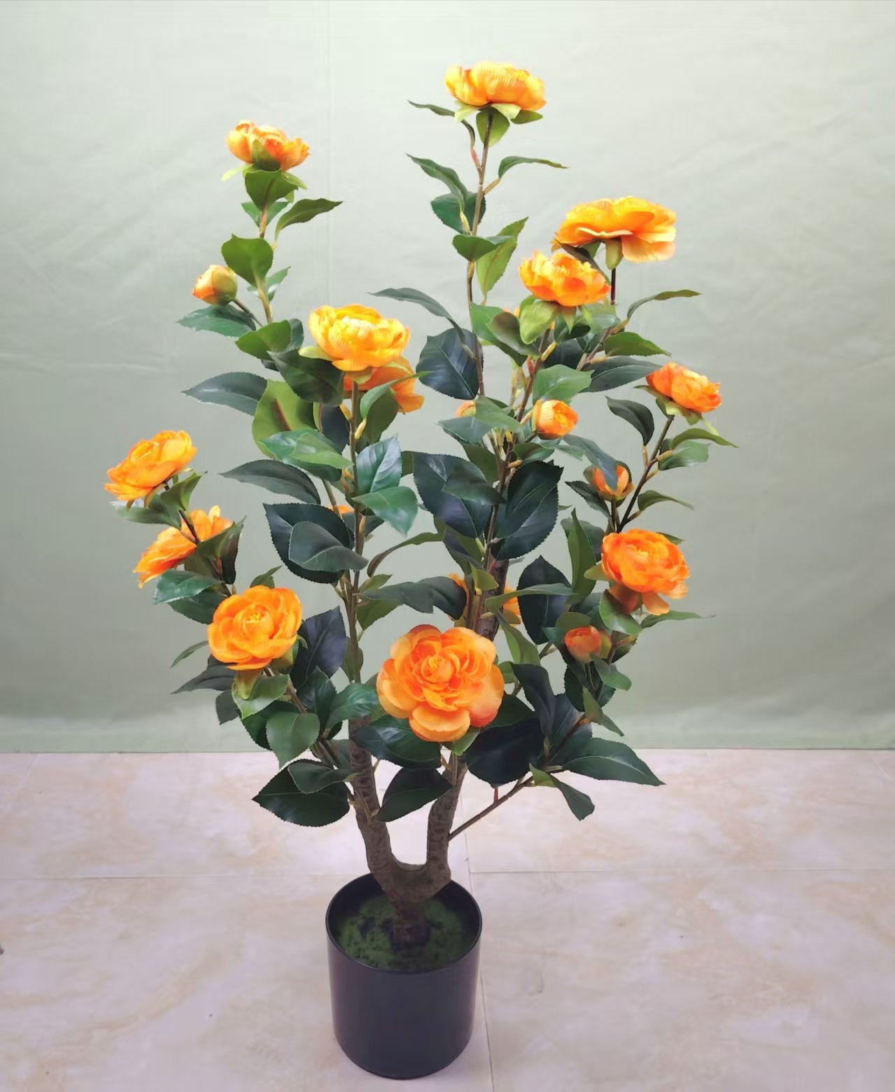 dd19357f92575187c62fe970d7ca1f53 camellia - Image 1