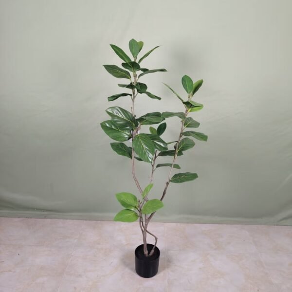 mountain fig
