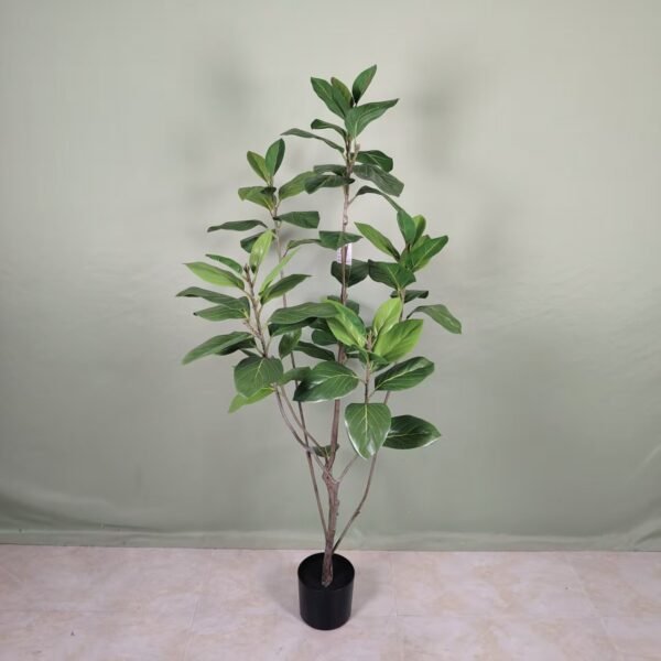 mountain fig